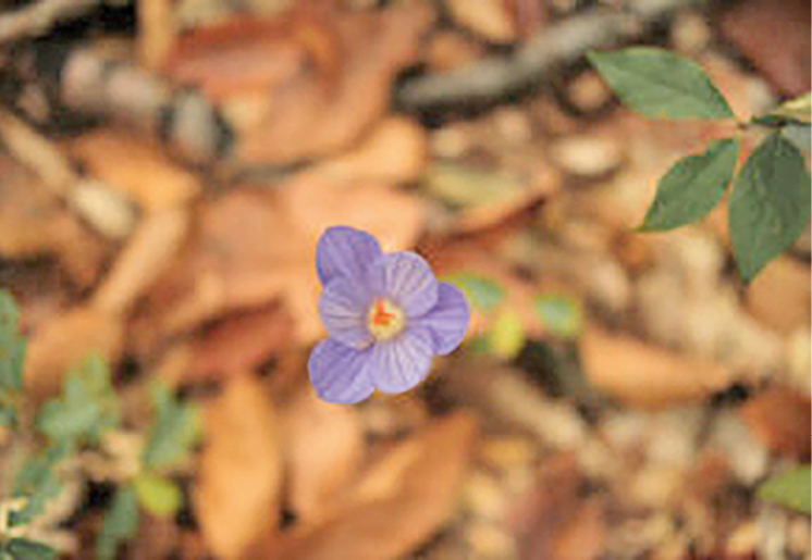 Евгений Летов 22-3.jpg