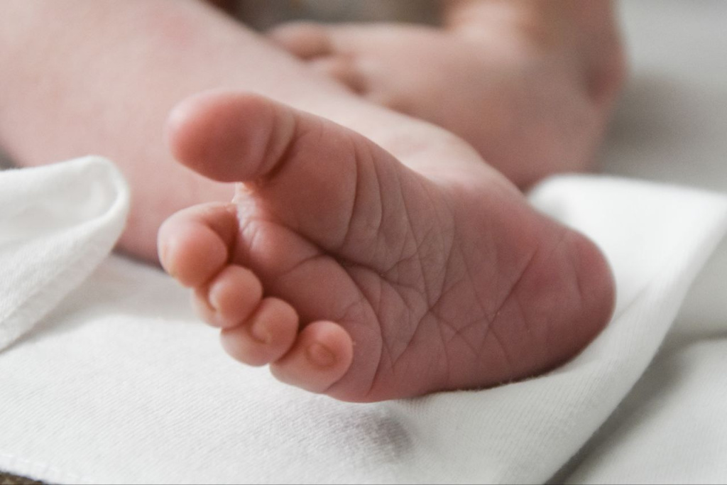 В Крыму на прошлой неделе родилось 258 детей