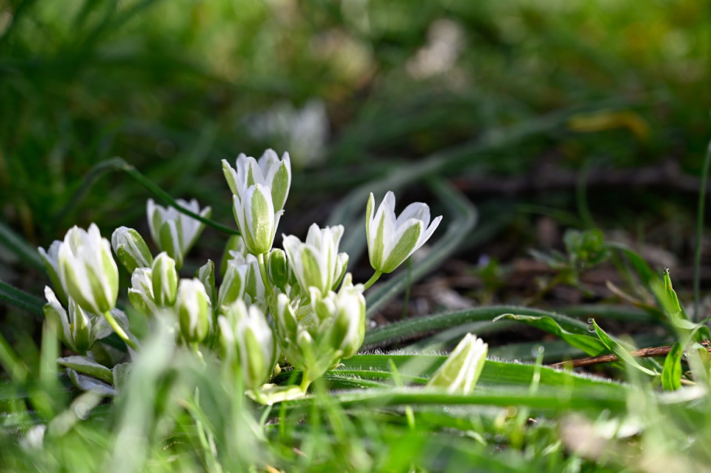 Погода в Крыму 8 марта: солнечно, днём до +18