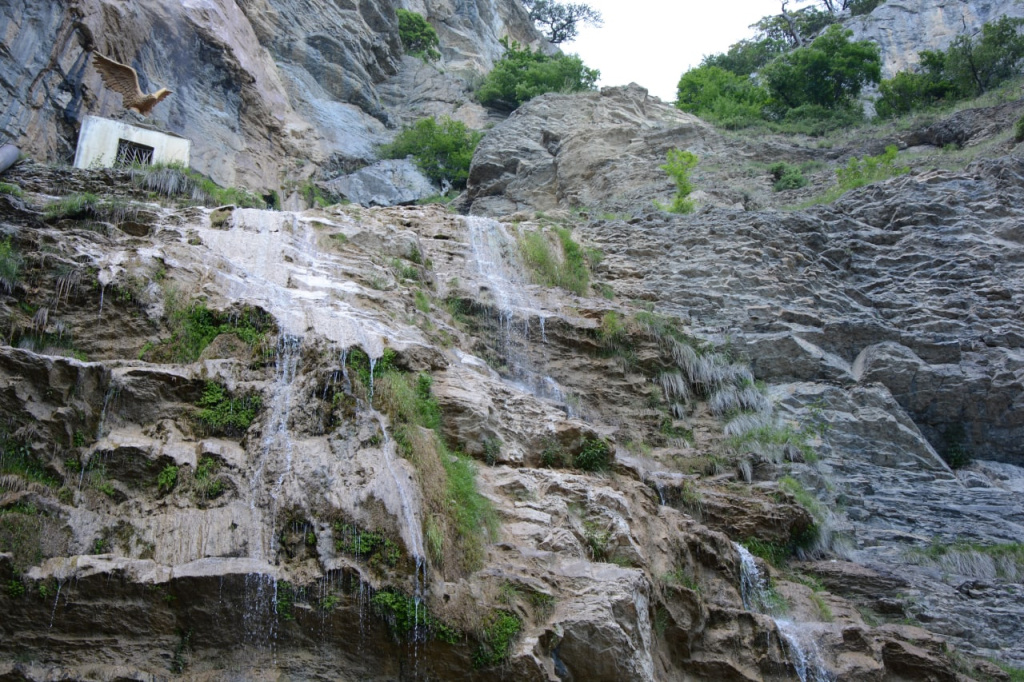 Фото: Гала Амарандо photo_2022-10-14_13-45-27.jpg