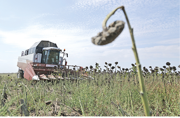 Михаил Гладчук Михаил Гладчук