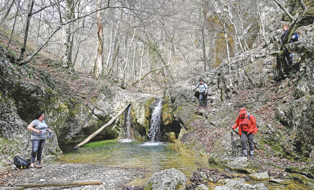 Гала АМАРАНДО Гала АМАРАНДО