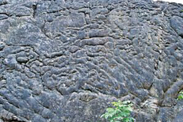 vk.com/ilovekrim 27-1мозг.jpg