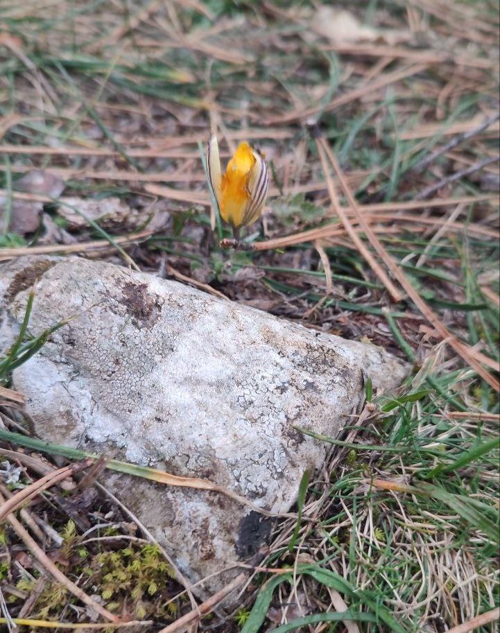 Юлия Захарова photo_2025-02-05_11-31-40.jpg