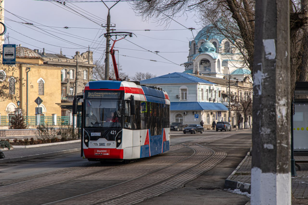 Какие рыбы плавают задом и кто сделал трамвайные рельсы: рубрика интересных фактов