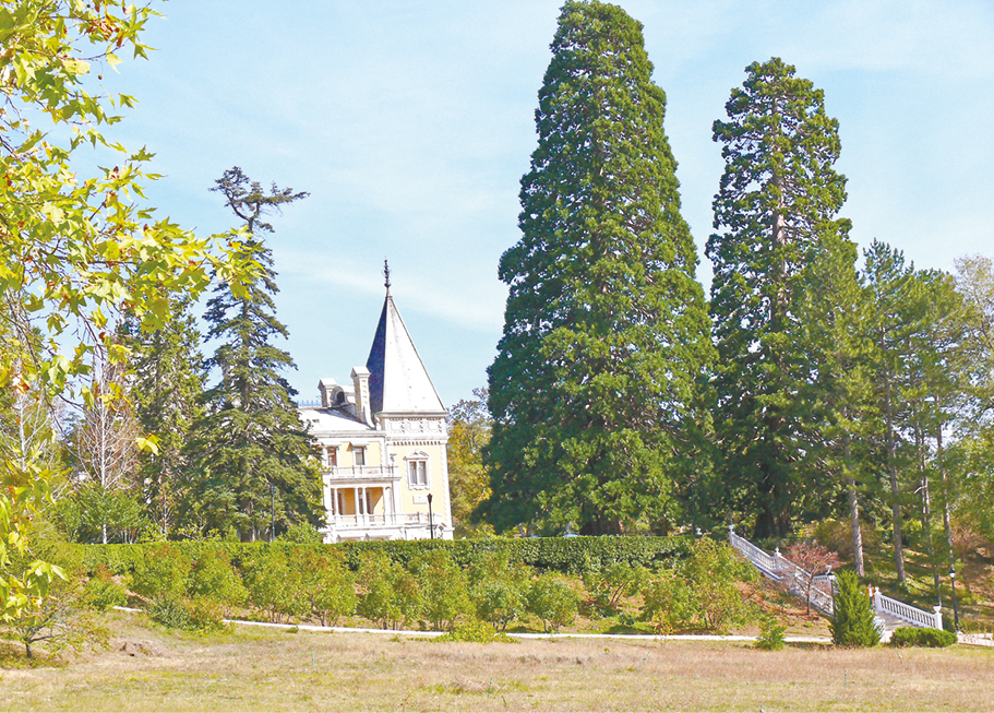 Кирилл Белозёров Кирилл Белозёров