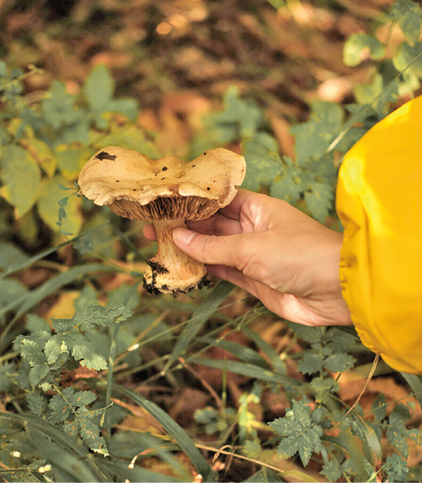 Евгений Летов 23.jpg