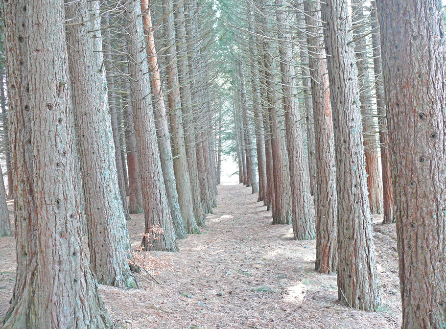 Кирилл Белозёров Кирилл Белозёров