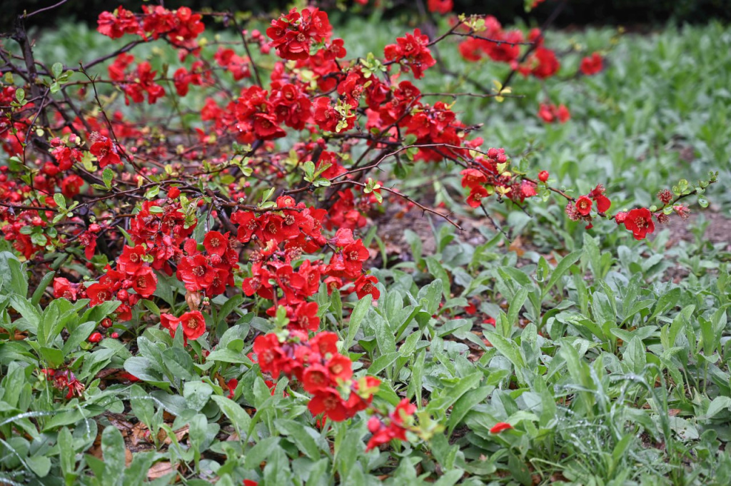 Погода 10 марта: днём до +13 и солнечно