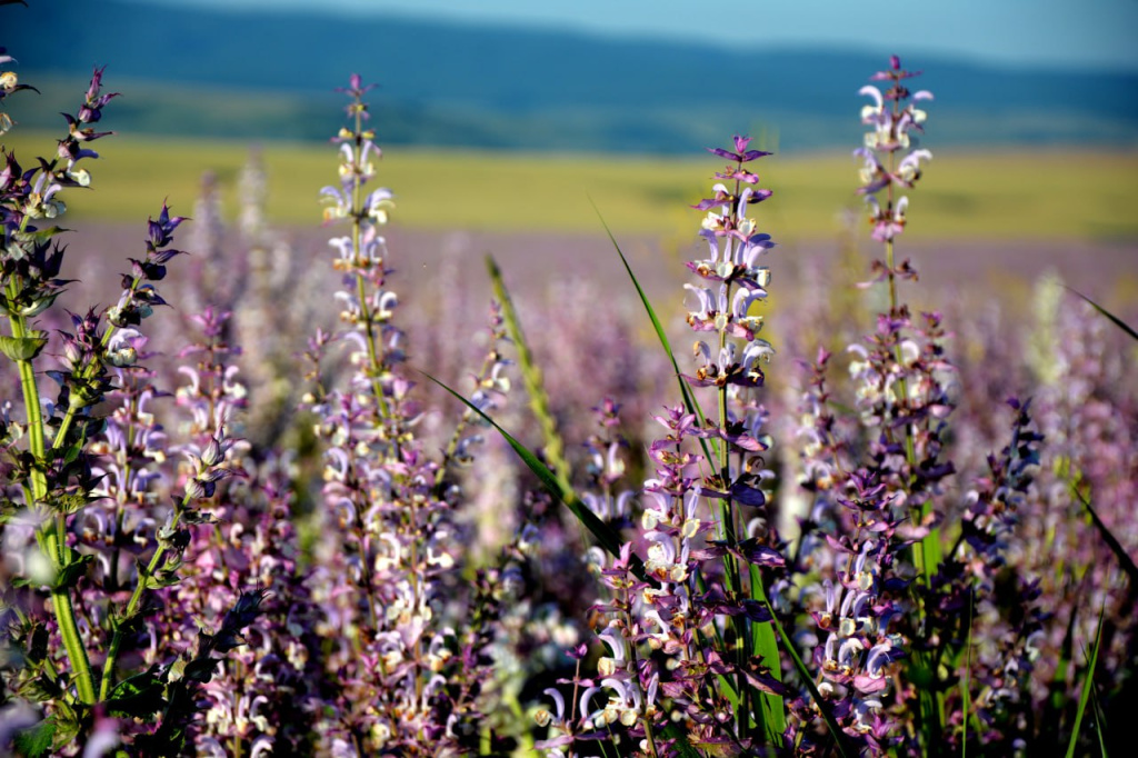 Погода 4 мая: днём до +22