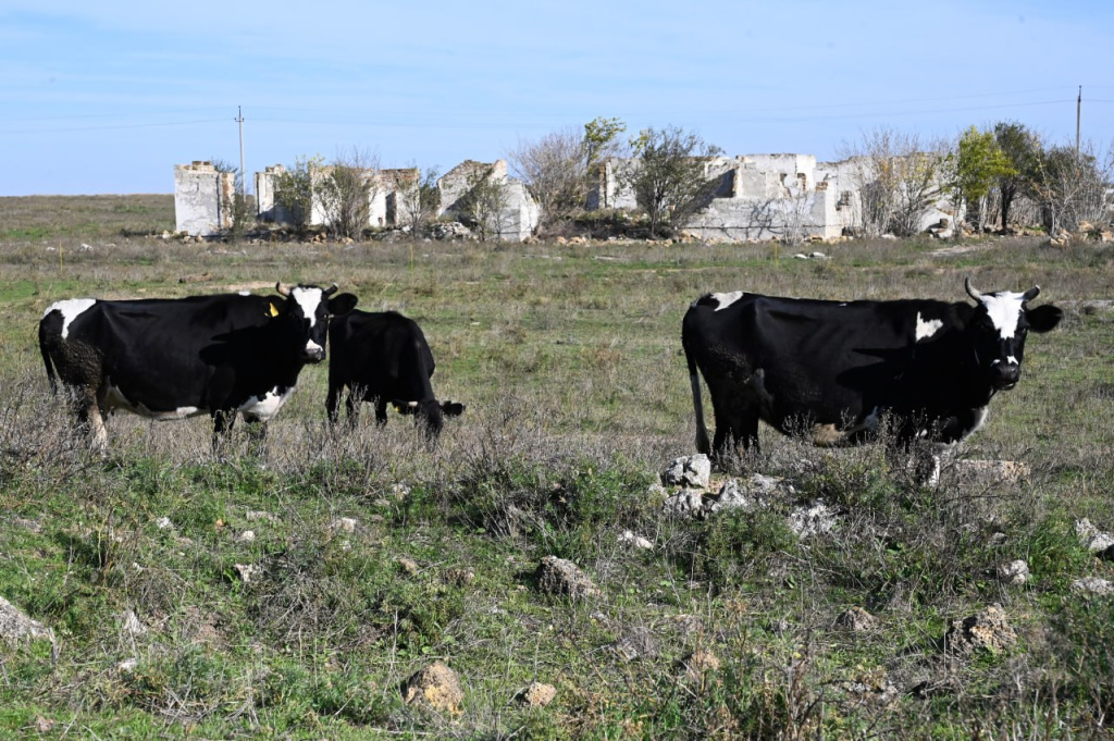 Эксперт назвал заболевания, которые наиболее опасны для домашних питомцев и птиц