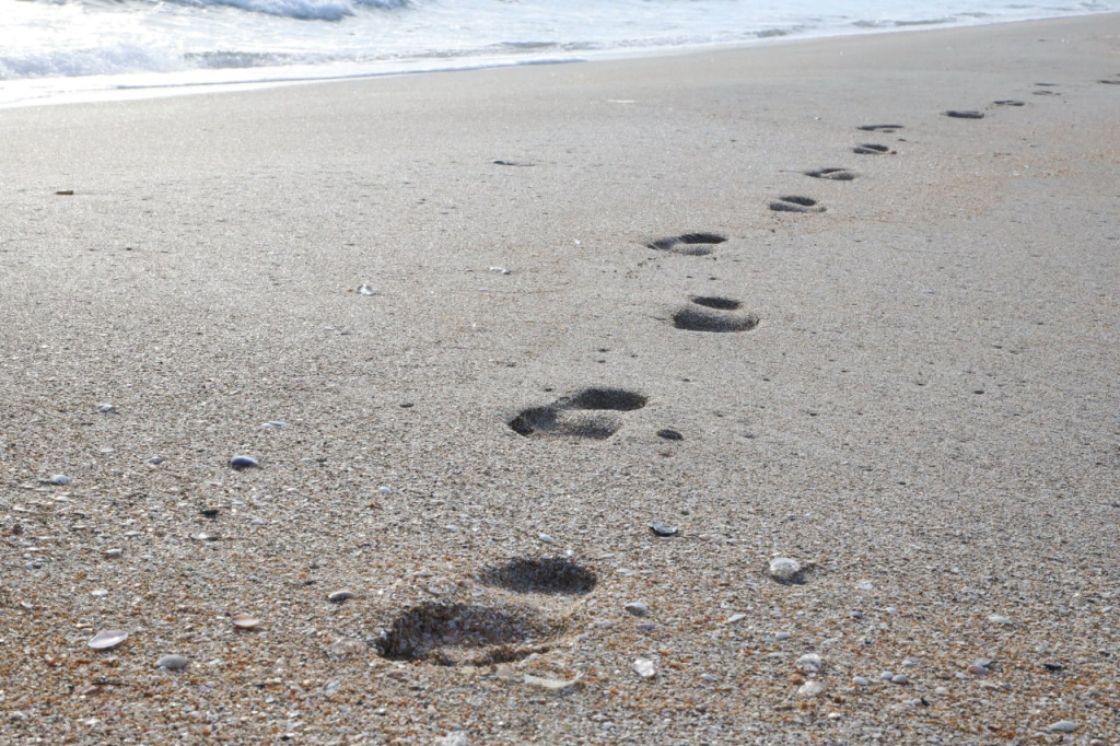 Фото: Наталья Сомова photo_2022-07-26_11-55-20.jpg