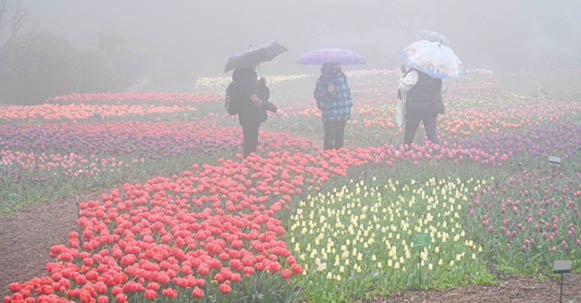 Погода 9 мая: дожди и грозы