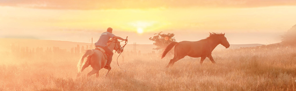 Евгений Летов, Оксана Самарина, из архивов конных клубов Фото: Евгений Летов, Оксана Самарина, из архивов конных клубов