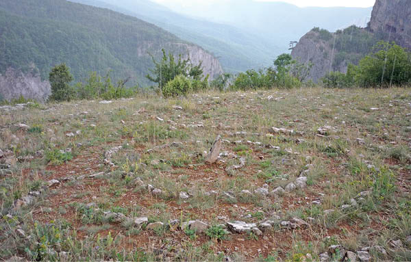 Вячеслав Нефёдов. Вячеслав Нефёдов.