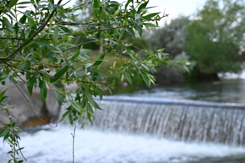 Погода 15 августа: днём до +31