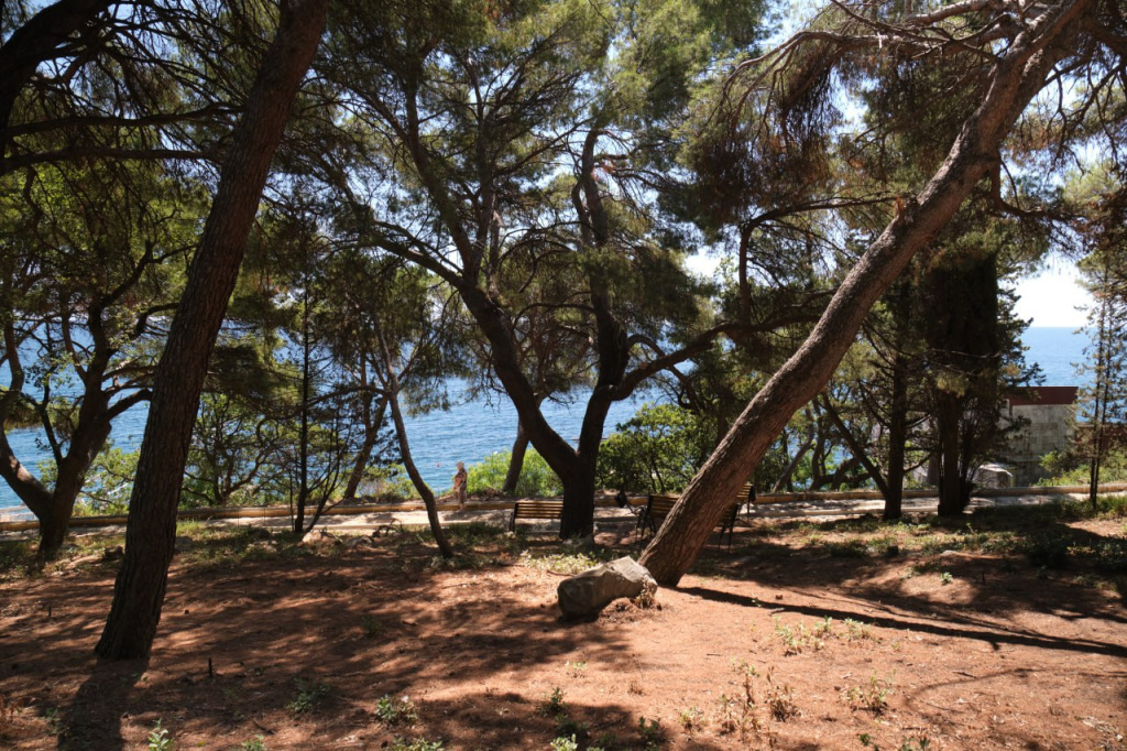 Янина Павленко/Телеграм photo_2025-08-07_10-59-27 (3).jpg