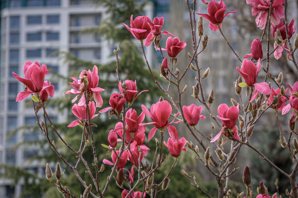 Погода 15 апреля: солнечно и тепло