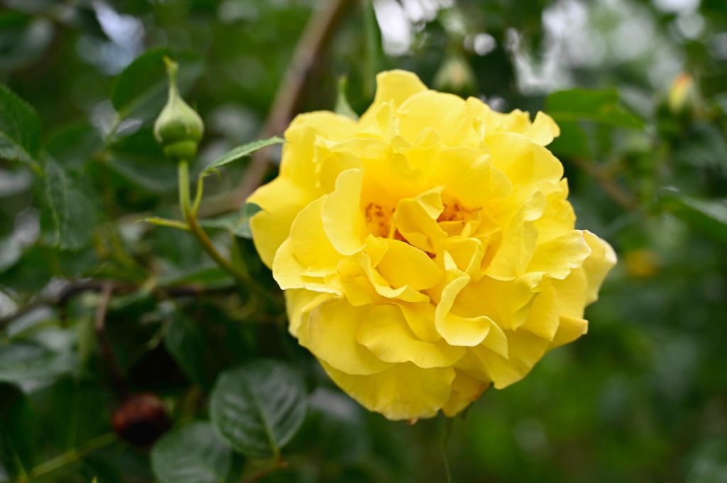 Погода 5 июня: днём до +28