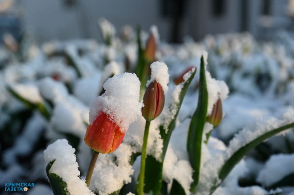 Погода в Крыму 10 апреля: пасмурно, местами мокрый снег