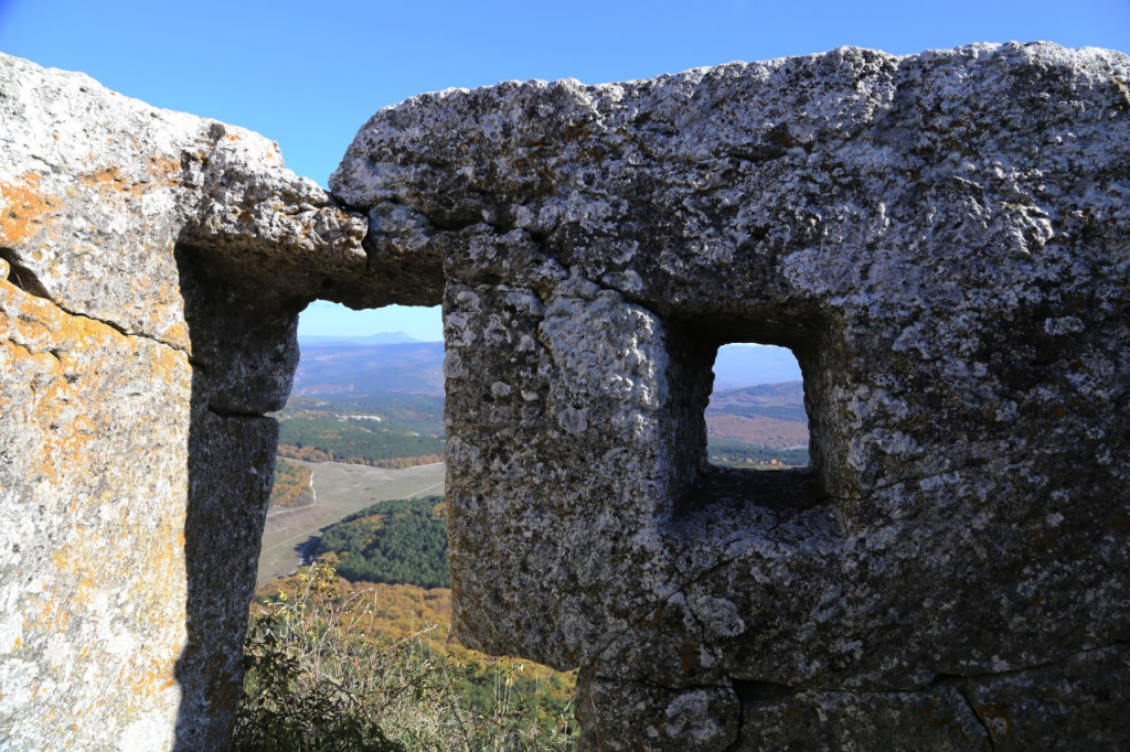 Фото: Наталья Сомова photo_2022-11-18_14-33-13.jpg