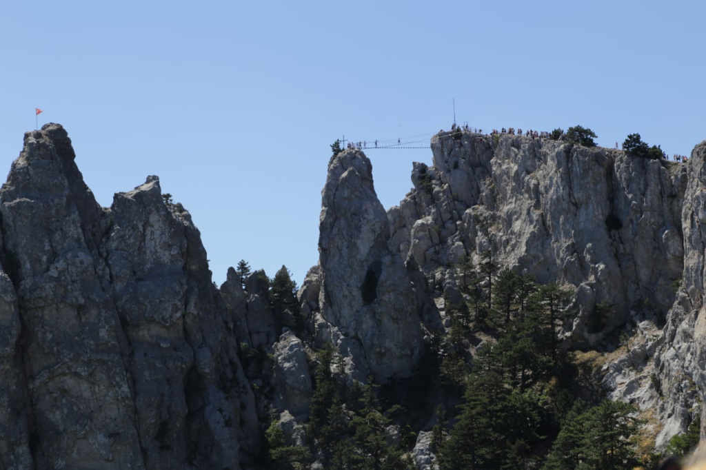 Фото: Наталья Сомова photo_2022-10-14_13-34-01.jpg