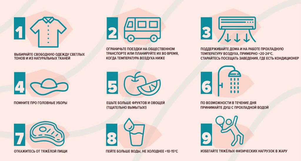 Инфографика: pechora-pet.ru 6-1.jpg