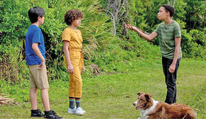 кадр из фильма кадр из фильма