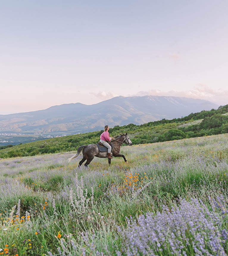 Евгений Летов, Оксана Самарина, из архивов конных клубов 22-5458.jpg