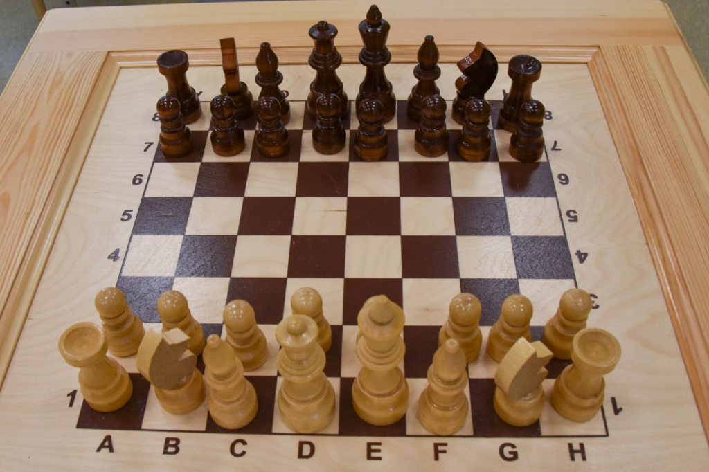 В исторических регионах России создают шахматные клубы для детей