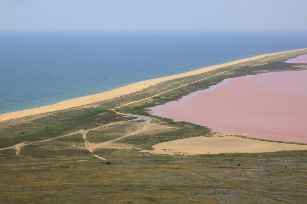 Фото: Наталья Сомова photo_2022-07-27_14-03-08.jpg