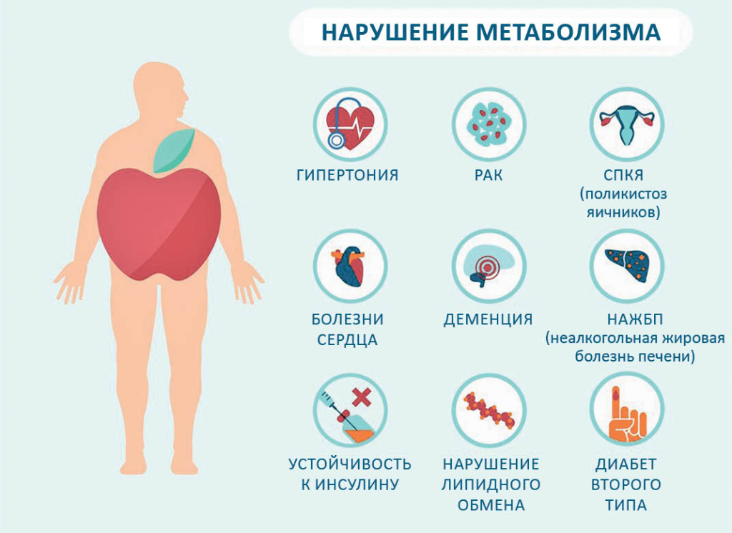 Инфографика: bess-crb.ru Инфографика: bess-crb.ru