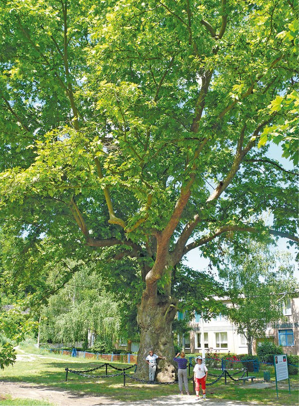 Кирилл БЕЛОЗЁРОВ Кирилл БЕЛОЗЁРОВ