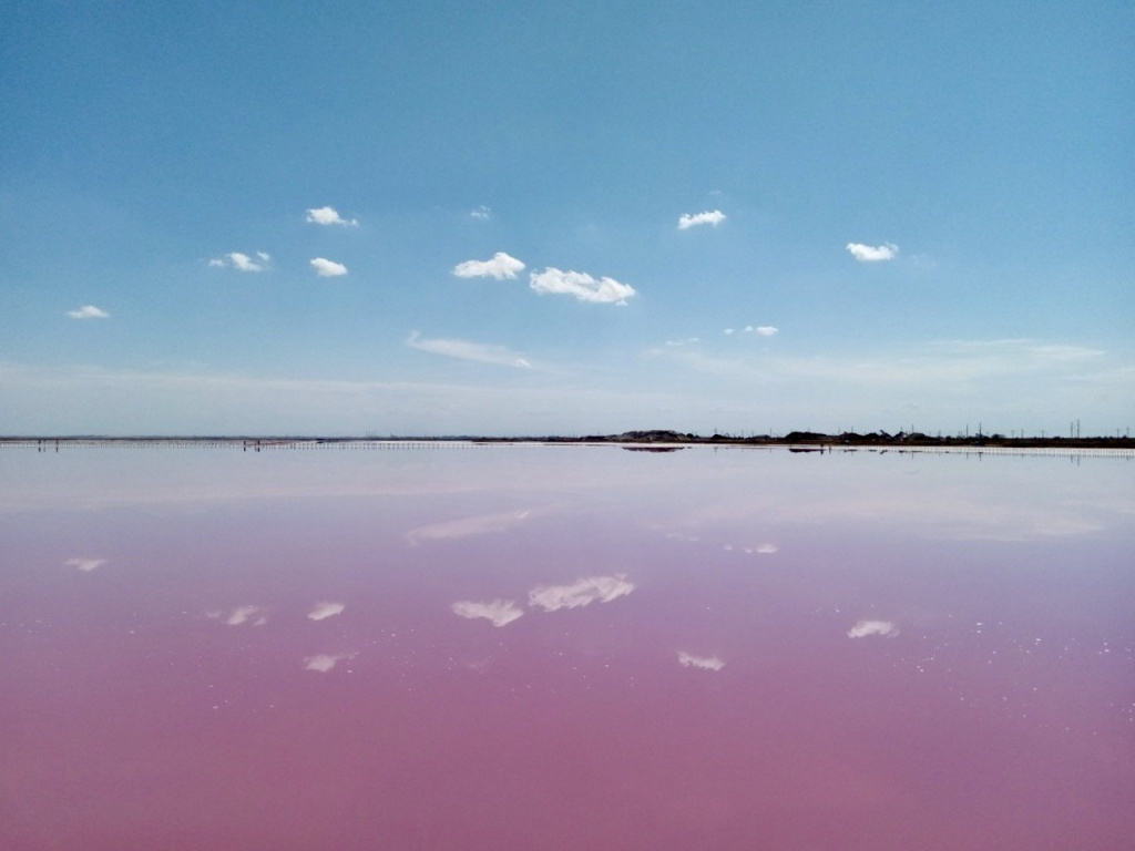 Фото: Кирилл Белозёров photo_2022-10-11_12-44-08.jpg