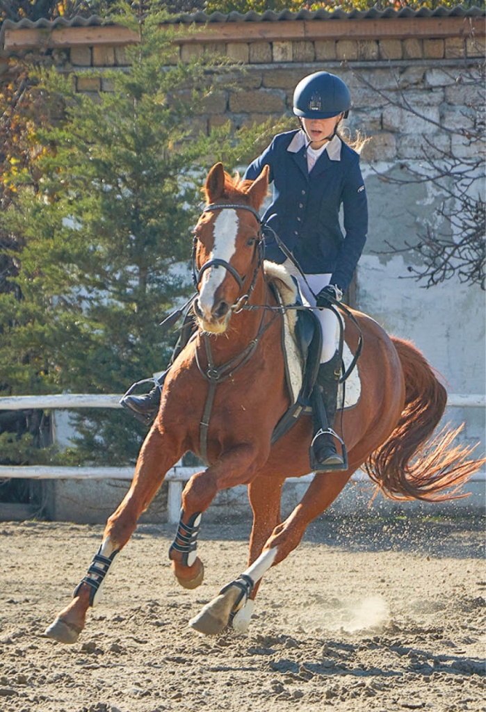 Евгений Летов, Оксана Самарина, из архивов конных клубов Евгений Летов, Оксана Самарина, из архивов конных клубов