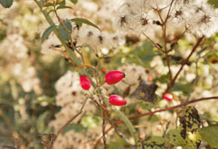 Евгений Летов Евгений Летов