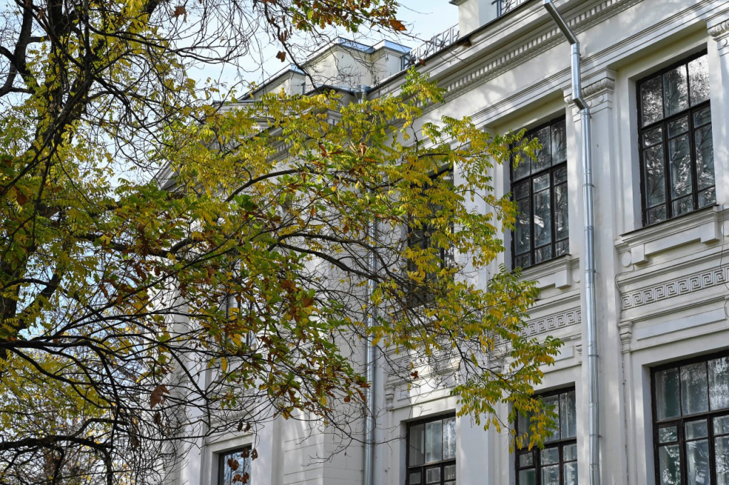 Погода 25 ноября: ночью до +2