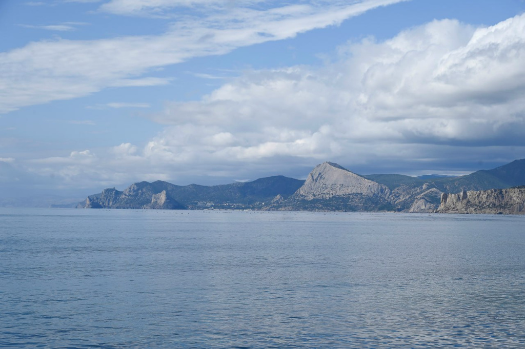 Как косуля оказалась в море: загадка у побережья в районе Судака