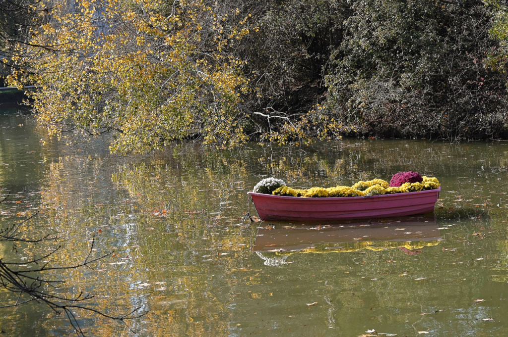 Погода 16 ноября: солнечно и тепло