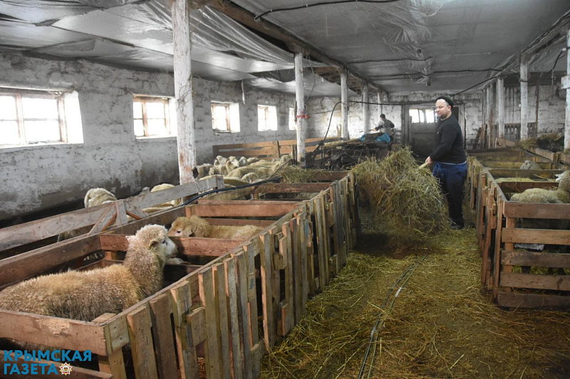 Аксёнов рассказал, как в Крыму реализуется региональный проект «Кадры в агропромышленном комплексе»