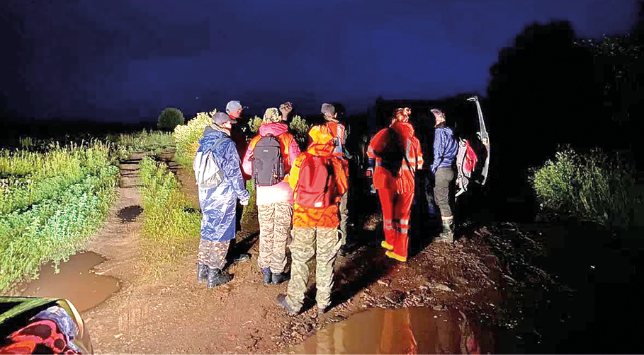 «Лиза Алерт» «Лиза Алерт»