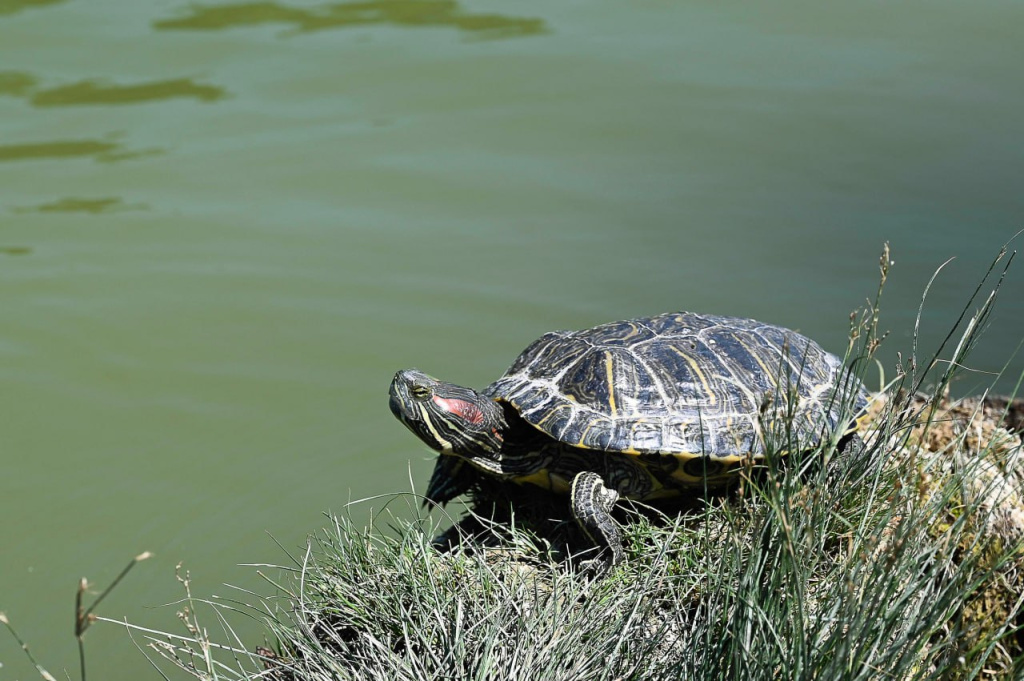 Погода 14 июля: жарко и солнечно