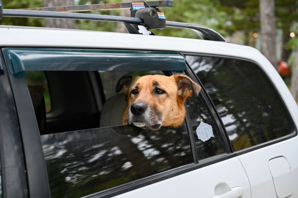 Как комфортно перенести жару в дороге-Инфографика