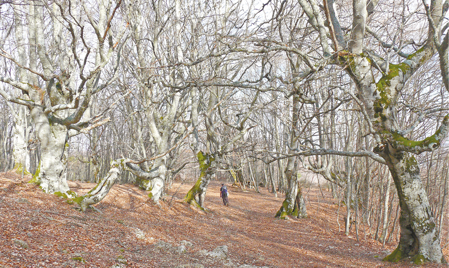 Кирилл Белозёров Кирилл Белозёров